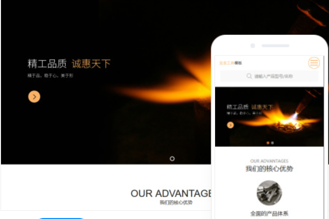 安徽網(wǎng)站開發(fā)公司 - 專業(yè)的網(wǎng)絡技術服務提供商